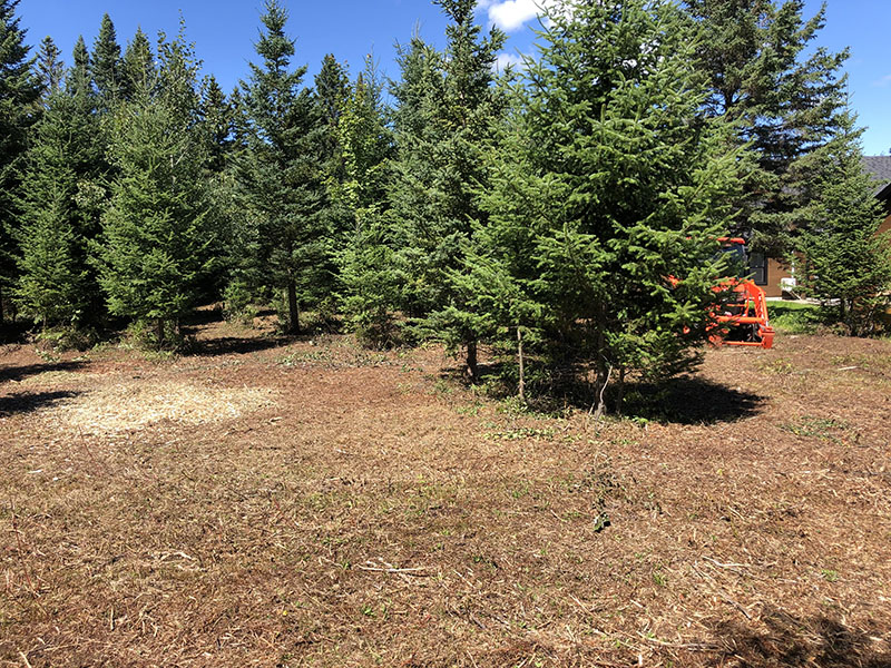 Assurance responsabilité et garantie sur notre service de broyage forestier, deboisement, de déchiquetage d’arbres et de copeaux de bois dans Lanaudière, Laurentides, Mauricie, Montérégie, Estrie et le Centre du Québec fiable, rapide et économique / Broyage Forestier Lanaudière situé à Sainte-Émélie de l’énergie