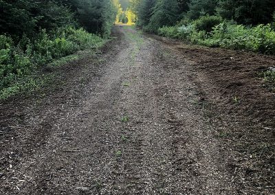 service de construction de chemin forestier et installation de ponceau dans Lanaudière - Broyage Forestier Lanaudière (BFL)