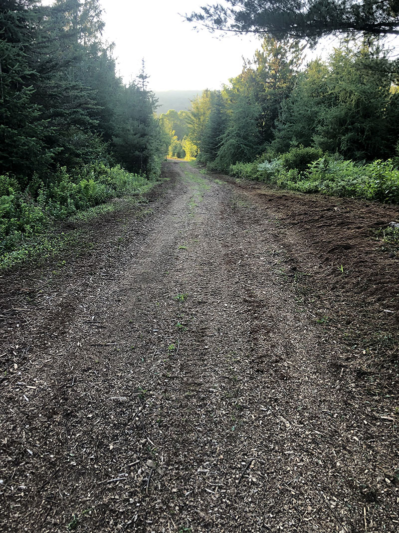 service de construction de chemin forestier et installation de ponceau dans Lanaudière - Broyage Forestier Lanaudière (BFL)