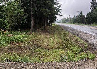 service de défrichement ou de déboisement de terrain dans Lanaudière - Broyage forestier lanudière