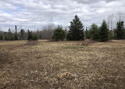 service de défrichement ou de déboisement de terrain dans Lanaudière ou les Laurentides - Broyage forestier lanudière