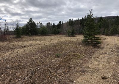 service de défrichement ou de déboisement de terrain dans la région de Lanaudière ou des Laurentides - Broyage forestier lanudière