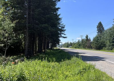 service de défrichement ou de déboisement de terrain dans les Laurentides - Broyage forestier lanudière