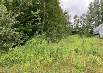 Service de construction de chemin de terre avant dans Lanaudière - Broyage Forestier Lanaudière