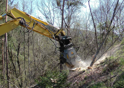 Service de mini-excavation - Broyage Forestier Lanaudière